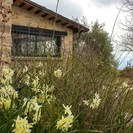 At Aunt Daniela House Oasis On Silence וילה Porchiano (Terni)